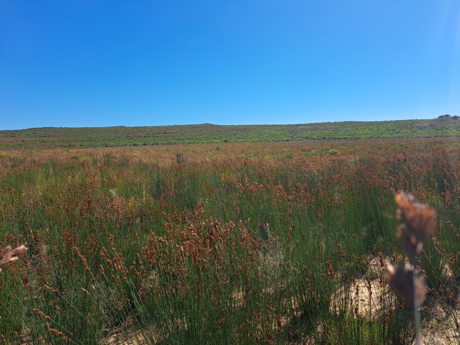  Bedroom Property for Sale in Riversdale Rural Western Cape